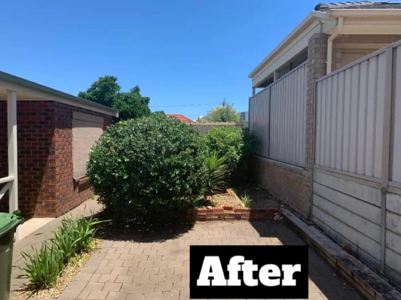 After - Garden