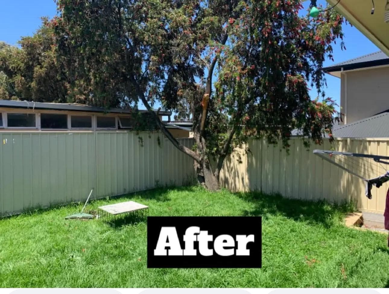 After - Tree Work