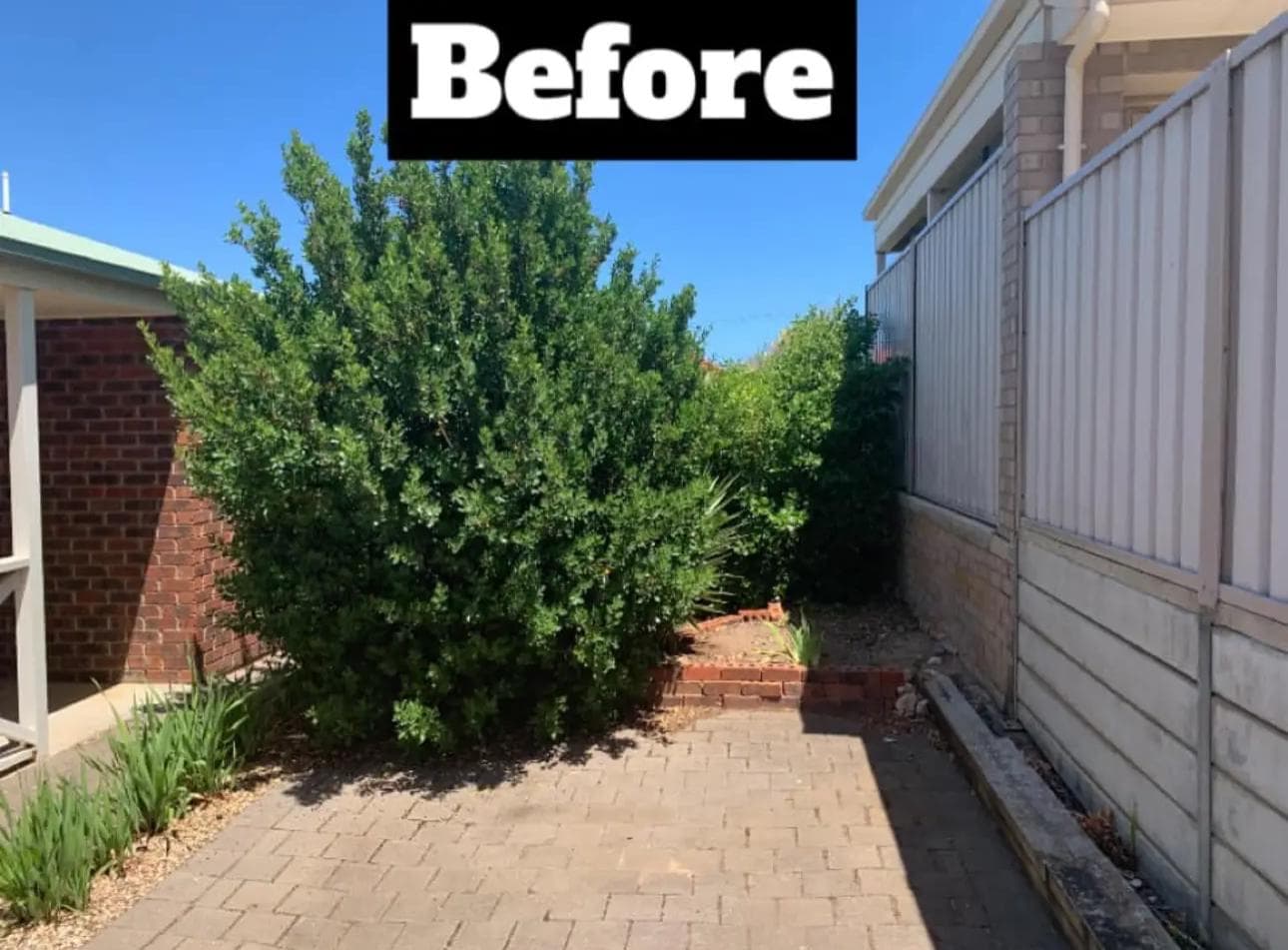 Before - Garden
