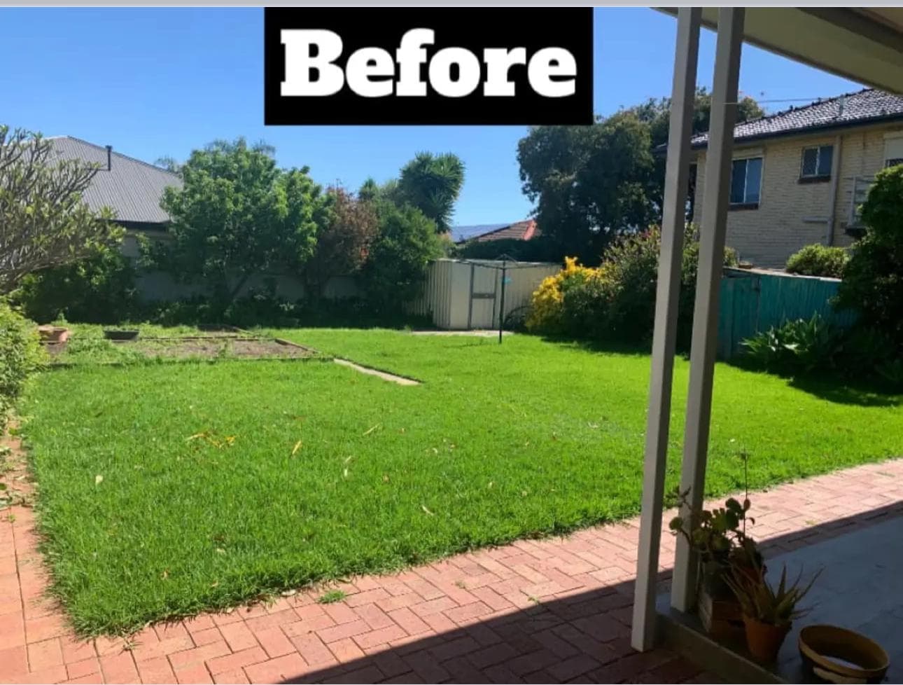 Before - Backyard